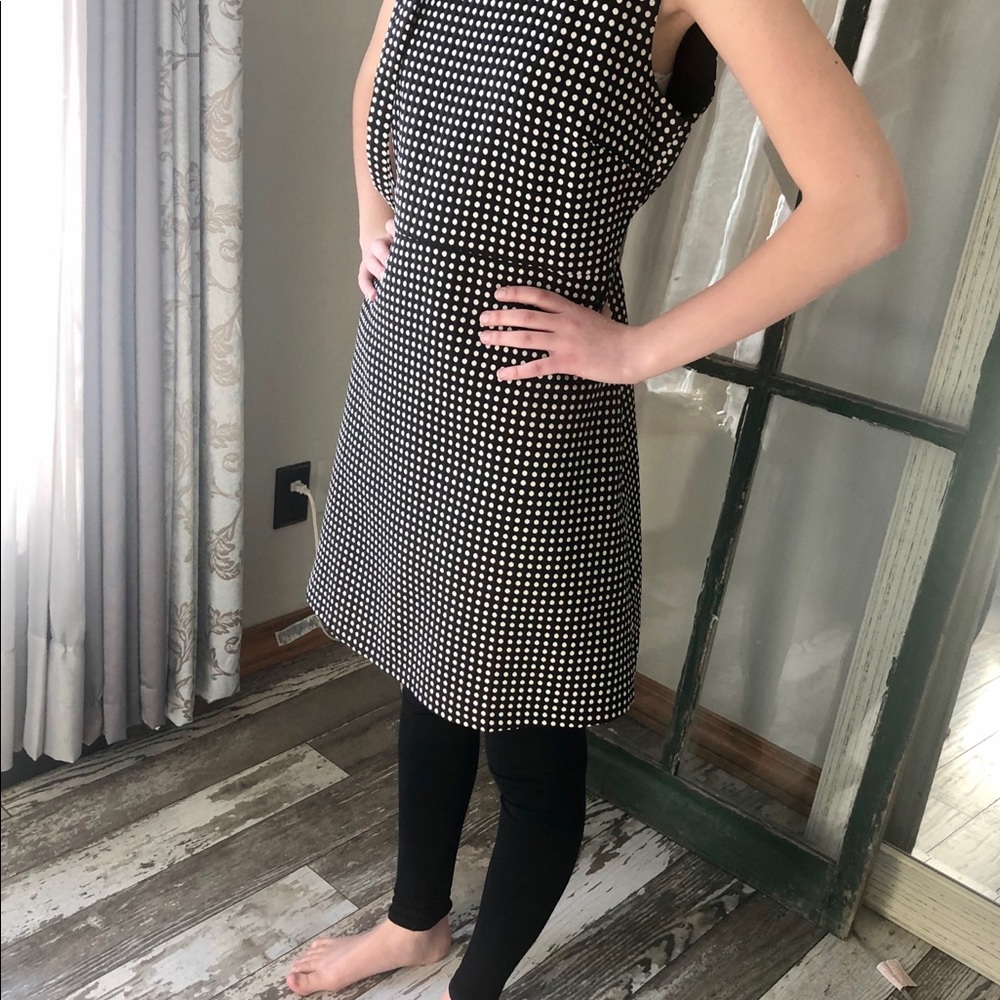 Aryeh Polka Dot Dress